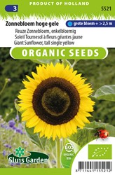 Tournesol à fleurs géantes jaune EKO