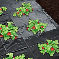Feutre de culture pour fraises 1.40 x 10m - Nature-2