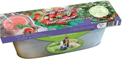 Kit Fraisier Temptation - Fragaria