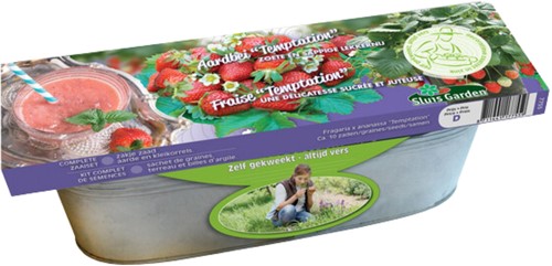 Kit Fraisier Temptation - Fragaria