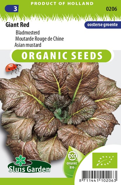 Graines De Moutarde De Chine Rouge 'Red Giant' - Brassica Juncea - Environ 300 Semences - Feuilles Croquantes Et Piquantes