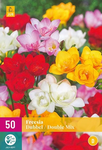Freesias Doubles en Mélange-2