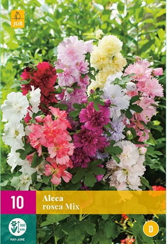 Alcea Rosea Mix - Rose Trémière
