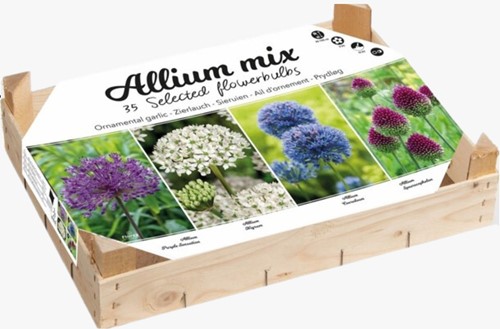 Allium Collection Boîte
