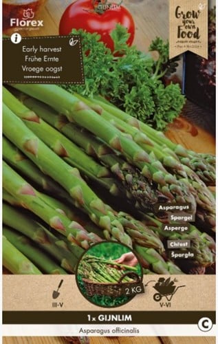 Asperge vertes