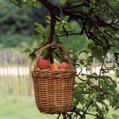 Panier de cueillette-3