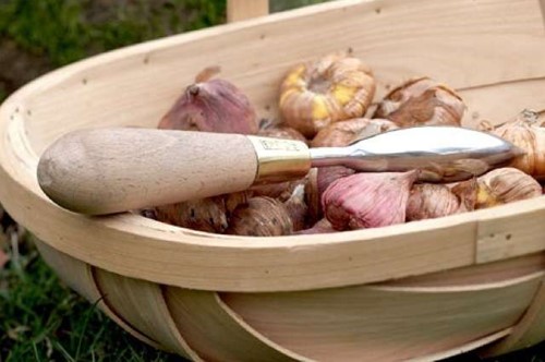 Plantoir Sophie Conran - Burgon & Ball