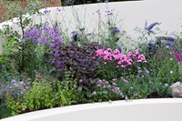 Plate-bande de jardin Papillons et Abeilles Modeste Herwig