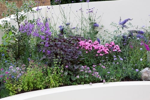 Plate-bande de jardin Papillons et Abeilles Modeste Herwig