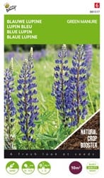 Fumage ou d'engrais vert Lupin blue / 100gr - 10 m2