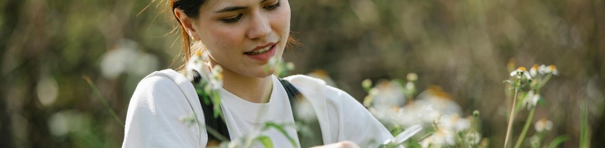 Travaux de jardinage en juillet avec Modeste Herwig : floraison estivale, soins des rosiers et préparation des vacances