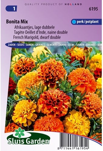 Tagète Bonita Mix - Tagetes