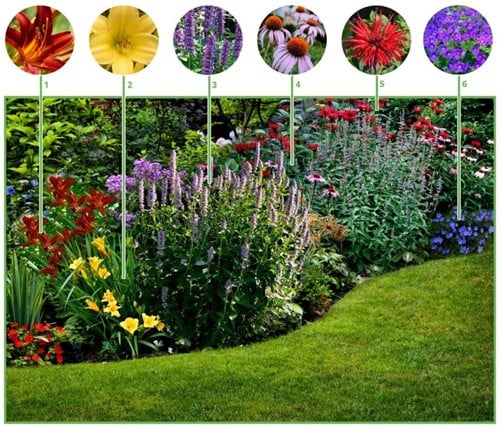 Paquet de plate-bande pour plate-bande à longue floraison (9 plantes: 1,5m2)