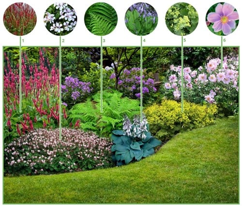 Paquet de plate-bande Jardin d ombre (12 plantes: 2m2)