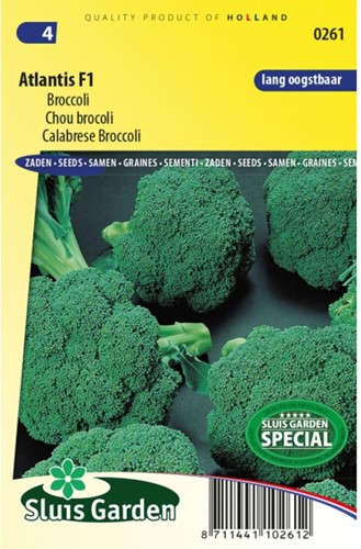 Chou Brocoli Atlantis F1