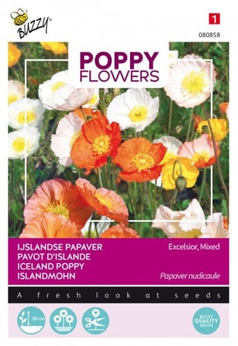 Pavot d'Island Excelsior, varié - Poppy Flowers