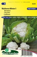 Chou fleur Walcheren Winter 5