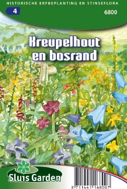 Bordures ensoleillées des fourrés et de la lisière d'un bois