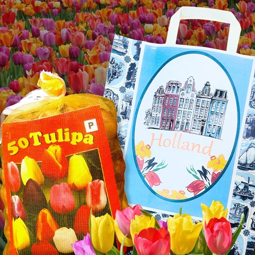 Sac Cadeau Bleu de Delft avec Tulipes