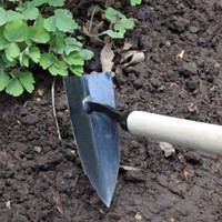 Carbon Steel Grondhouweel - Burgon en Ball-2