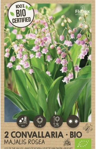 Convallaria Majalis Rosea - Muguet de Mai 100% BIO-2