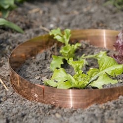 Disque contre escargots Cuivre - Petite 35cm / 5cm