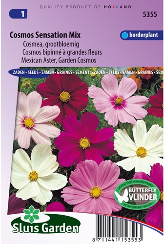 Cosmos bipinné à grandes fleurs Sensation Mix