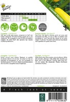 Courgette - Gold Rush F1 - Cucurbita pepo-2