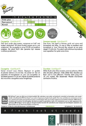 Courgette - Gold Rush F1 - Cucurbita pepo-2