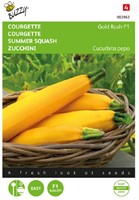 Courgette - Gold Rush F1 - Cucurbita pepo