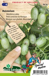 Petit cornichon du Mexique