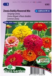 Zinnia élégant à fleurs doubles Dahlia flowered Mix