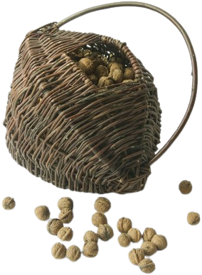 Panier à Noix Ancien – Fil De Fer Et Bois, Cueillette, Champignon, 1940-50