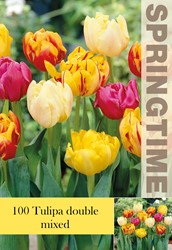 Achteter Bulbes tulipes en ligne a jardinieriekoeman.fr