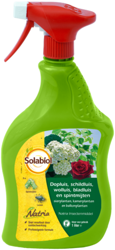 Solabiol insecticide en spray - SBM