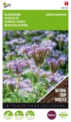 Fumage ou d'engrais vert Phacelia / 100gr - 100 m2