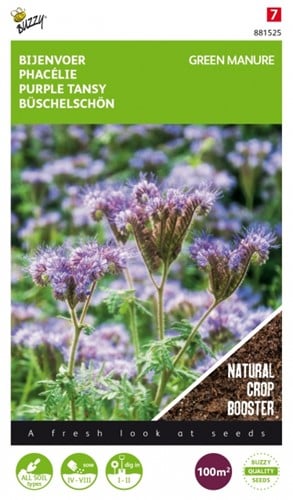 Fumage ou d'engrais vert Phacelia / 100gr - 100 m2