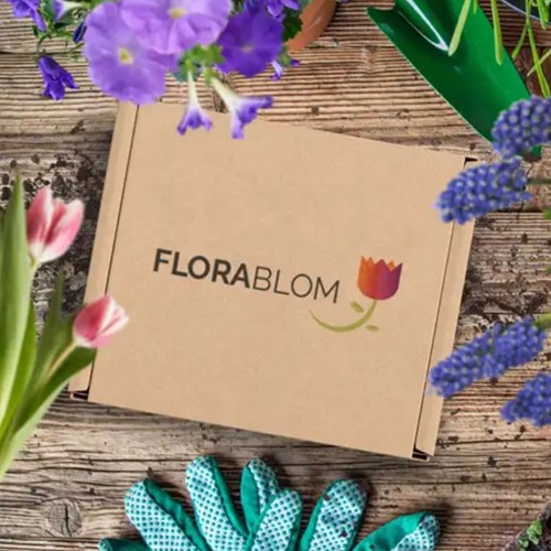 Mélange de fleurs pour abeilles Greengift-2