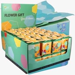 Buzzy flower gift (Présentoir 48x) Mélange de Fleurs pour Insectes
