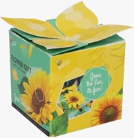 Buzzy Flower Gift (48x) Tournesol - Helianthus (Présentoir 48x)-2