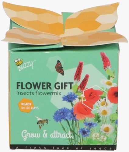 Buzzy Flower Gift Flowermix - Insectes Melange