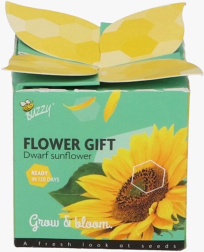 Buzzy Flower Gift Tournesol - Helianthus (1 boîte)