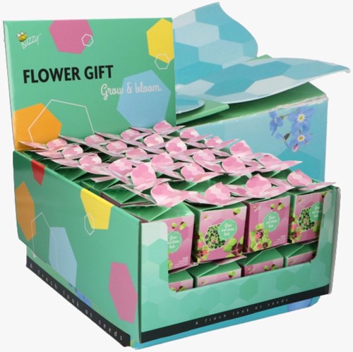 Buzzy Flower Gift (48x) Trèfle à 4 feuilles - Trifolium (Présentoir 48x)