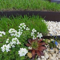 Jardin flexible pelouse bordure ACIER mur de 5m de frontière-2