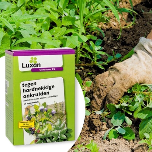Genoxone ZX contre les mauvaises herbes tenaces 250 ml - Luxan