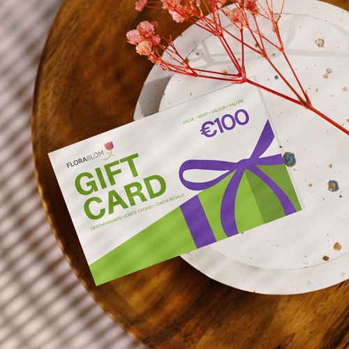 Carte cadeau 100 €