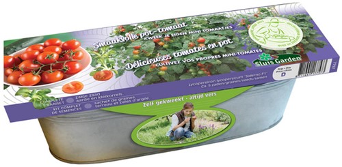 Kit Tomate Siderno F1 (pot)