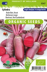 Betterave rouge Cylindra EKO