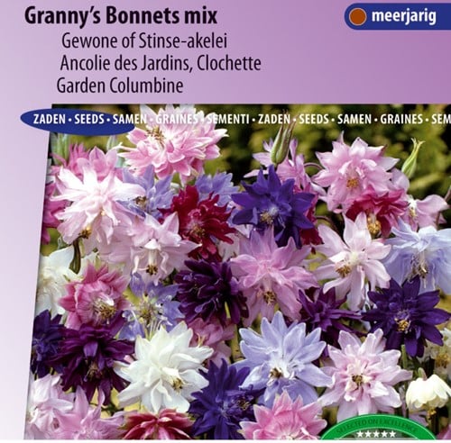 Ancolie des Jardins Granny's Bonnets mix - Aquilegia