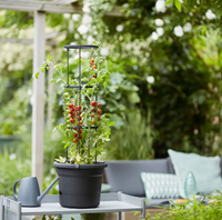 Green Basics Pot à Tomate 33 cm - Elho-3